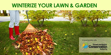 Winterize Your Lawn and Garden