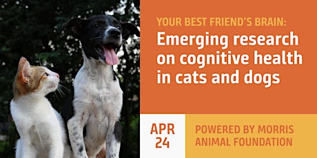 Image principale de Your best friend’s brain: Emerging research on cognitive health in pets