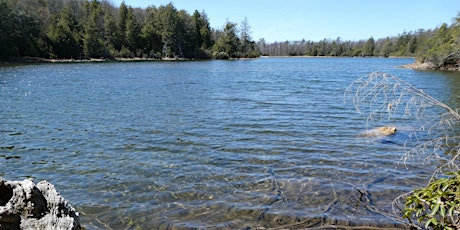 CANCELLED: Buttermilk Falls to AT, Crater Lake Hike and Hemlock Pond primary image