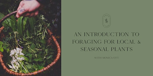 Introduction to Local & Seasonal Foraging with Monica Ott