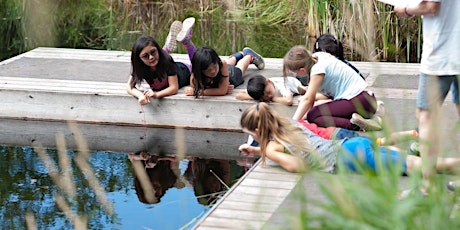 Hauptbild für Summer Camp 4 - Wonderful Wetlands