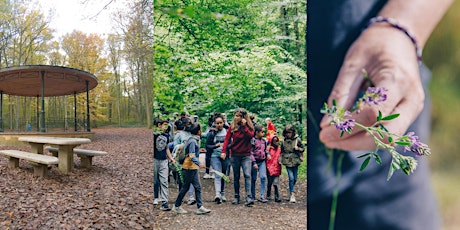 Hauptbild für SAVEURS ET VITALITE AU BOIS DU PRINCE