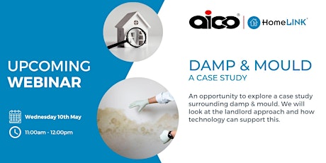 Image principale de Damp & Mould: A Case Study