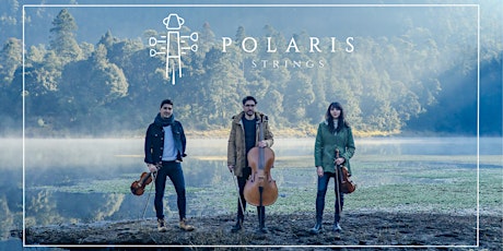 Polaris Strings