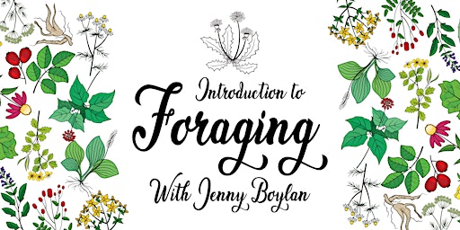 Introduction to Foraging with Jenny Boylan