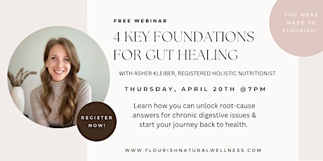 4 Key Foundations for Gut Healing primary image