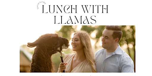 Lunch with Llamas. A gourmet lunch experience with adorable llamas!