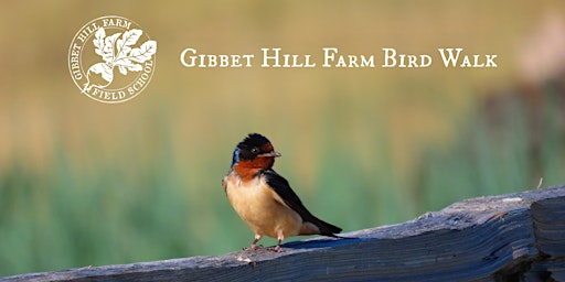 Gibbet Hill Farm Bird Walk primary image