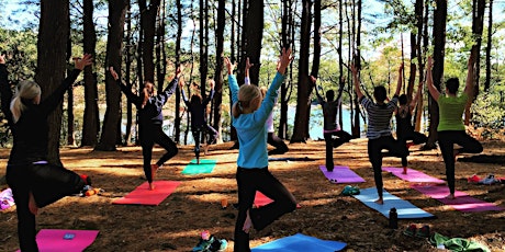 Yoga Hike: Middlesex Fells primary image