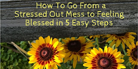 Successful Doesn't have to Be Stressful! 5 Easy Steps Success-minded Women Take to END Their Physical and Emotional Pain Forever primary image