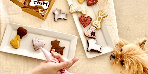 Dog Cookie Decorations and Dog Meatballs Tasting