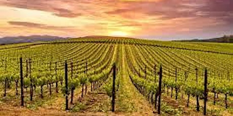 Imagen principal de The Wines of California!