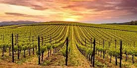Image principale de The Wines of California!