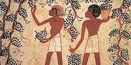 Wine History 101: The Moments That Shaped the Wine World