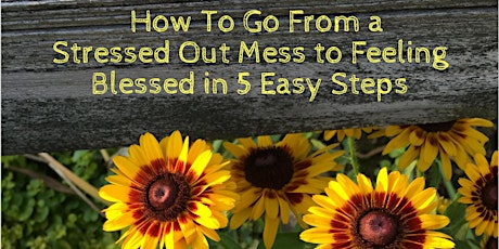 Being Successful Doesn't have to Be Stressful! 5 Easy Steps Success-minded Women Take to END Their Physical and Emotional Pain Forever primary image