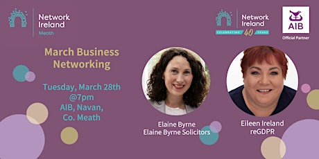 Network Ireland Meath - March Business Networking Event