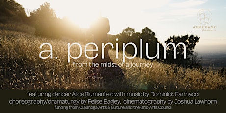 A. Periplum: a convergence of flamenco dance, jazz music, and film
