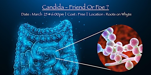 Candida - Friend or Foe