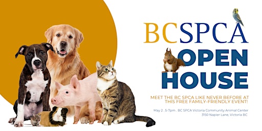 BC SPCA Open House