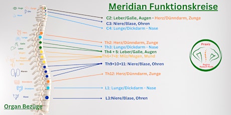 Hauptbild für Wirbel und Meridiane: Wege zur Heilung