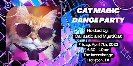 Cat Magic Dance Party