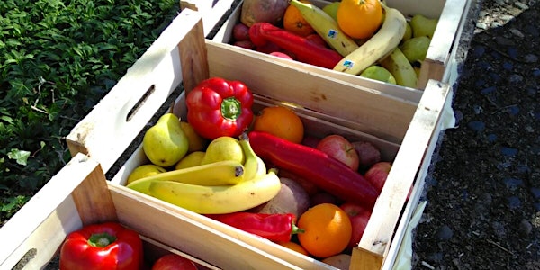 Food Waste - The Cutting Edge