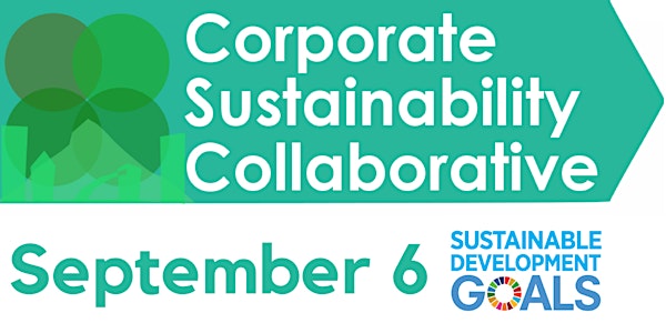 CSC Quarterly Meeting -- Using the Sustainable Development Goals