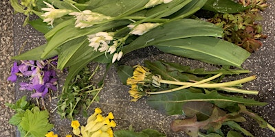 Hauptbild für Foraging walk for beginners