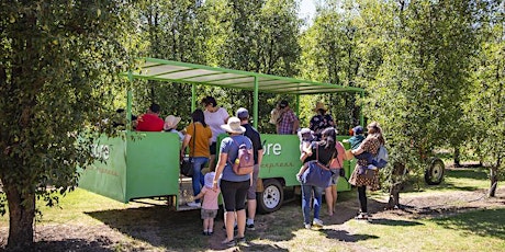 Fruit Picking Tour with Tractor Ride - Saturdays primary image