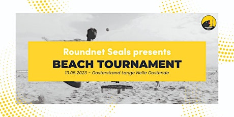 Roundnet Seals Beach Tournament 2023