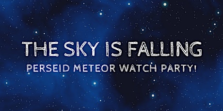 Perseid Meteor Shower Watch Party primary image