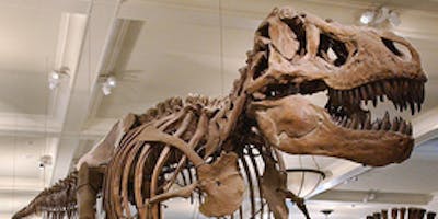 Kids Russian Tour at the Museum of Natural History (Dinosaurs) for 4 to 8 years olds