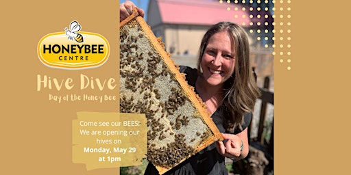 Image principale de Day of the Honeybee Hive Dive