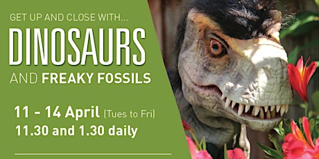 School Holidays Dino fun events for kids primary image