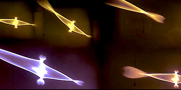 Skyline Artist:  Lightbirds “Fly” SalesforceTower Art Video Migration