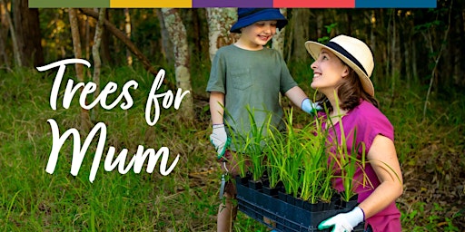 Imagem principal do evento Trees for Mum - Community Tree Planting