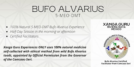 Bufo Alvarius Session in Playa del Carmen primary image