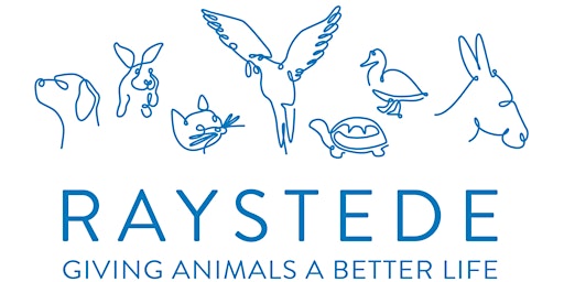 Raystede Centre for Animal Welfare  Equine Physiotherapy Workshop primary image