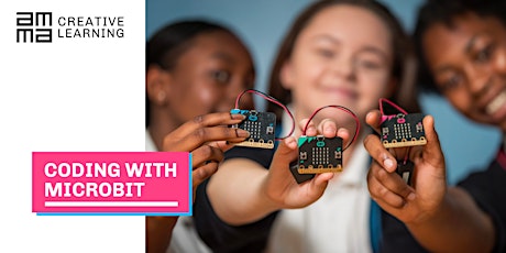 Coding with Microbit primary image