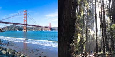 Bike Golden Gate Bridge & Hike Muir Woods