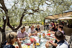 Imagen principal de Vesuvius Wine Tasting Tour with Lunch Included