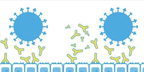 Intellectual Property & Biologics: Policy Challenges and Responses primary image