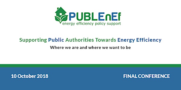 Public Authorities Implementing Energy Efficiency Policies