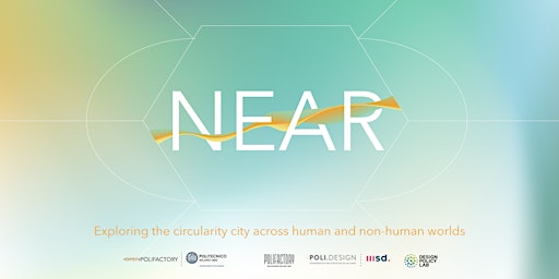 Exploring the circularity city across human and non-human worlds