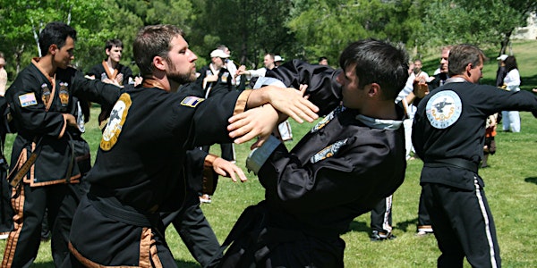 Traditional Martial Arts Self-Defense