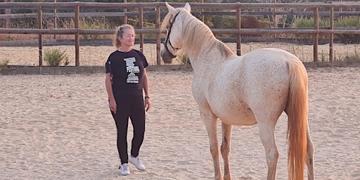 7 day painfree training and horse assisted learning in Portugal