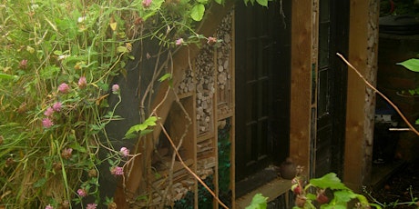 Wee Larches - Kids Film Screening - In the Green Shed - Radical Home Cinema primary image