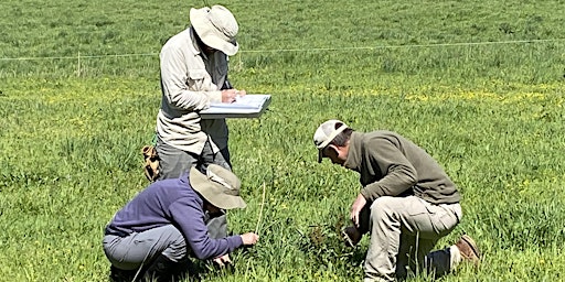 Holistic Management- Planned Grazing, Financial Planning and Eco Monitoring primary image