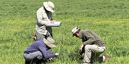 Imagem principal de Holistic Management- Planned Grazing, Financial Planning and Eco Monitoring