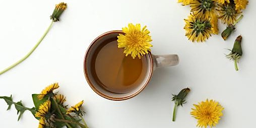 Hauptbild für 7-Day Ayurveda Spring Cleanse